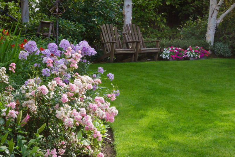 Beautiful lawn with chairs to relax in and enjoy friendships.