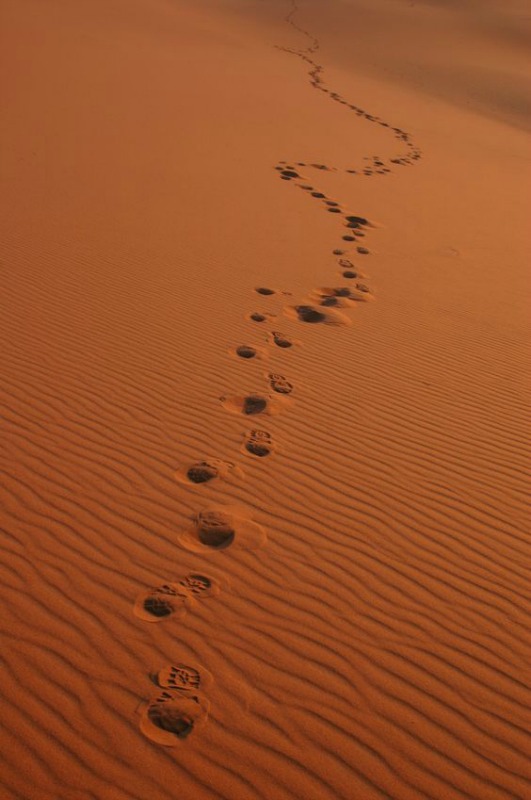 Walking Through a Spiritual Desert Searching for Truth